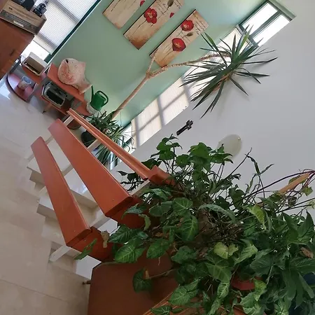Katarina Appartement Makarska